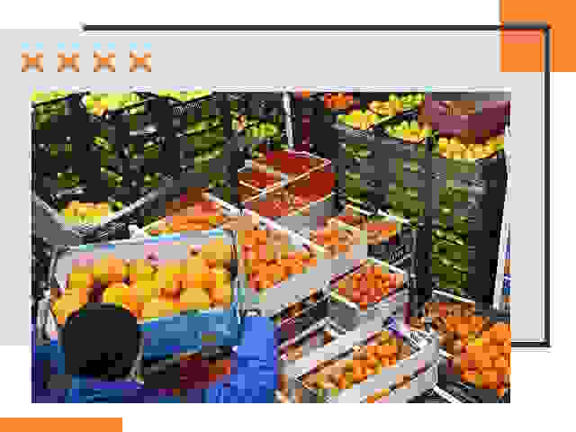 Перевозка скоропортящихся продуктов в Балашове